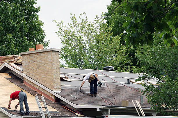 Best Roof Gutter Cleaning  in Worland, WY