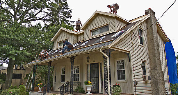 Best Roof Gutter Cleaning  in Worland, WY